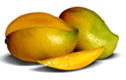 RIPE MANGO*